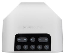 Load image into Gallery viewer, Bluesound Pulse Flex 2i
